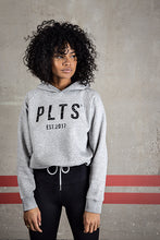 Load image into Gallery viewer, Hoodie Grey - Relaxed Fit
